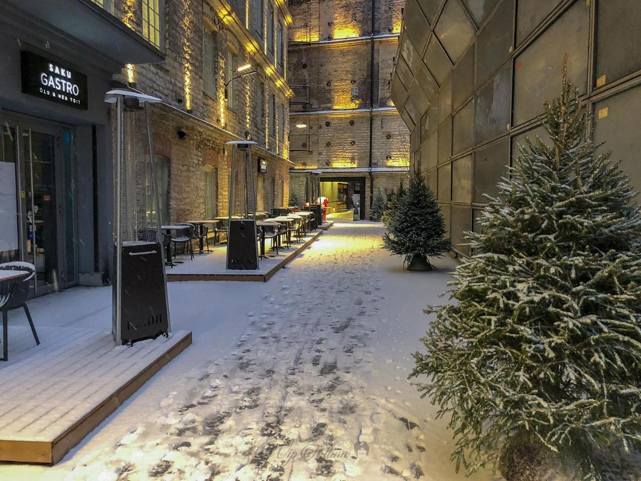 Vip Rotermanni Apartment Таллінн Екстер'єр фото